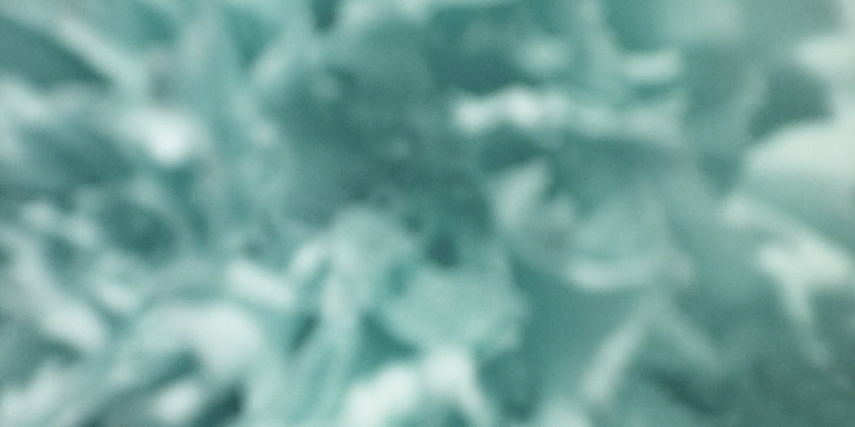 Get 15 No Deposit Free Spins Today!