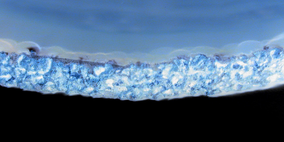 Best Online Casinos for Real Money in the USA 2025