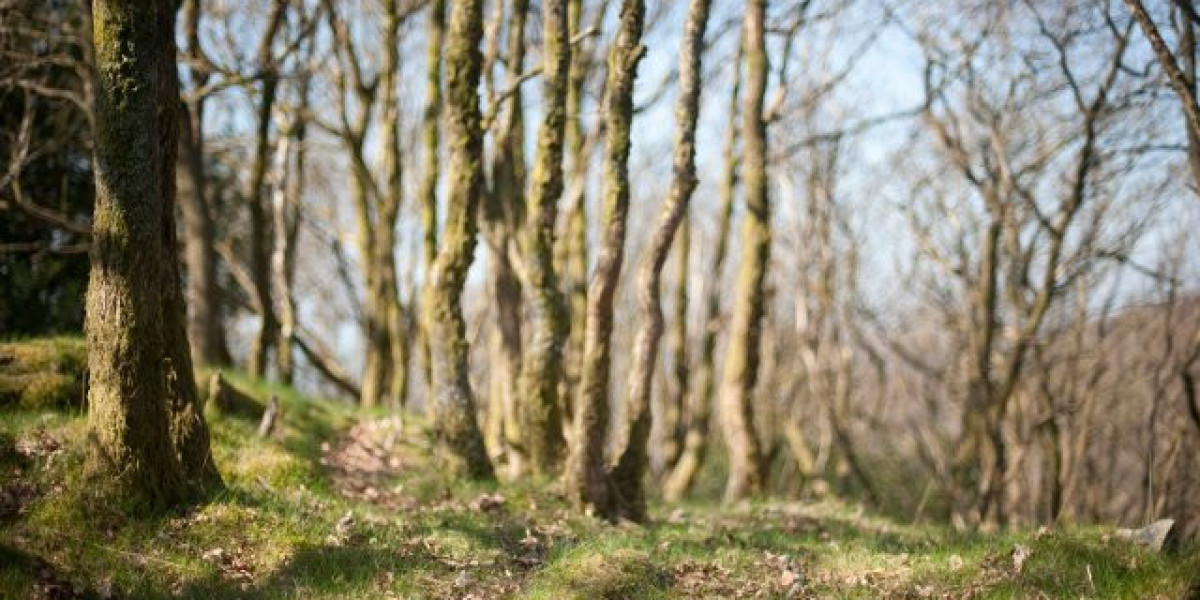 Best Online Casino Australia 2025 Top Australian Online Casinos