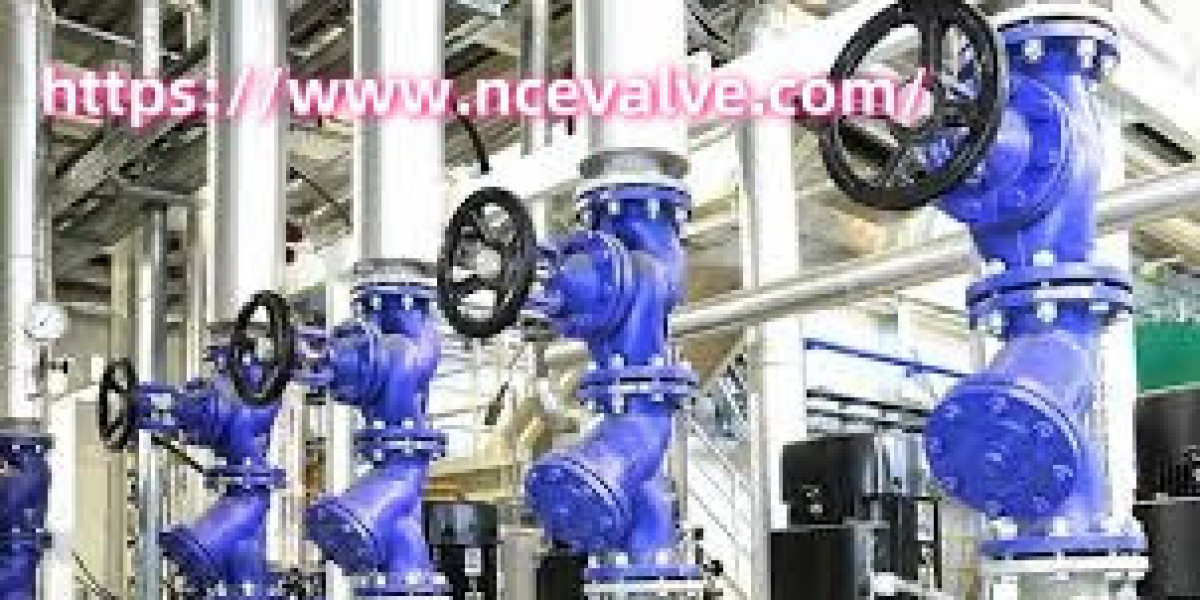 Unlock Efficiency with Naishi at Valve Custom Factory Through Personalized Designs