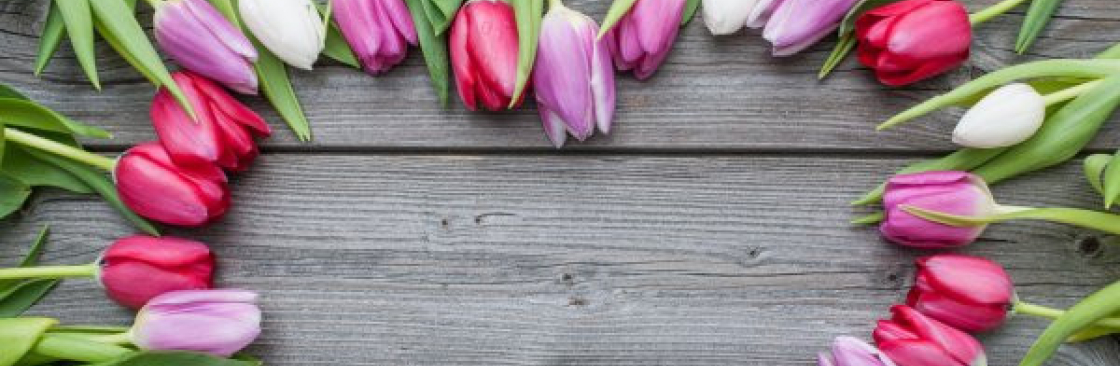 Поліна Дмитрівна Cover Image