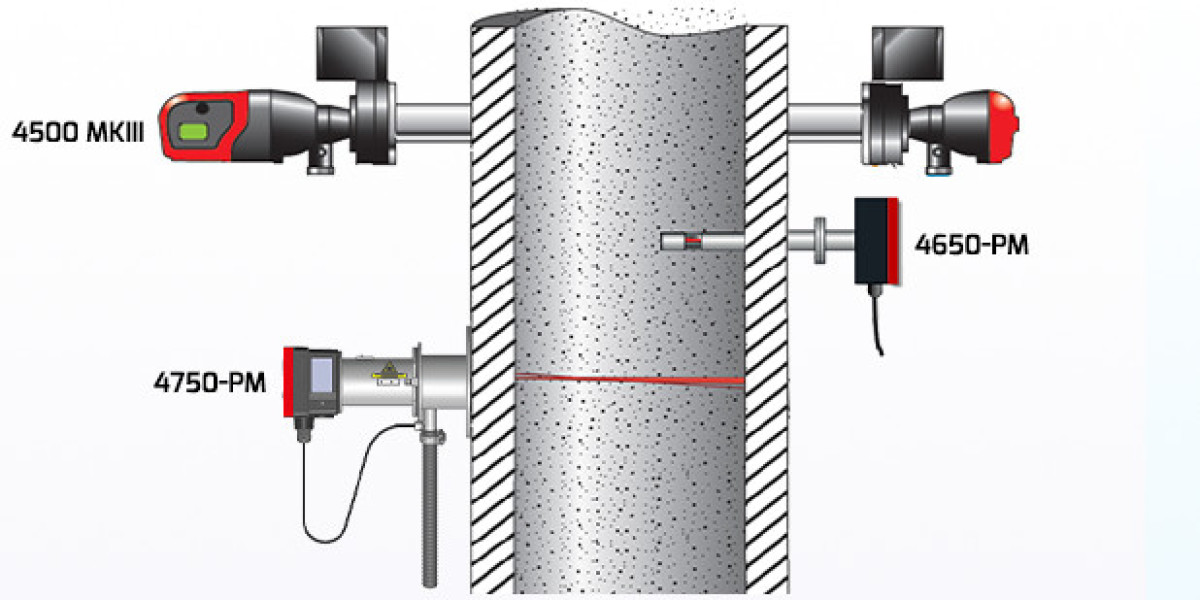 Navigating the Global Landscape of Air Quality Management through Comprehensive Particulate Matter Monitoring Market Ana