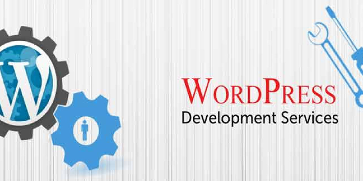 Professional Website Solutions for Business Growth