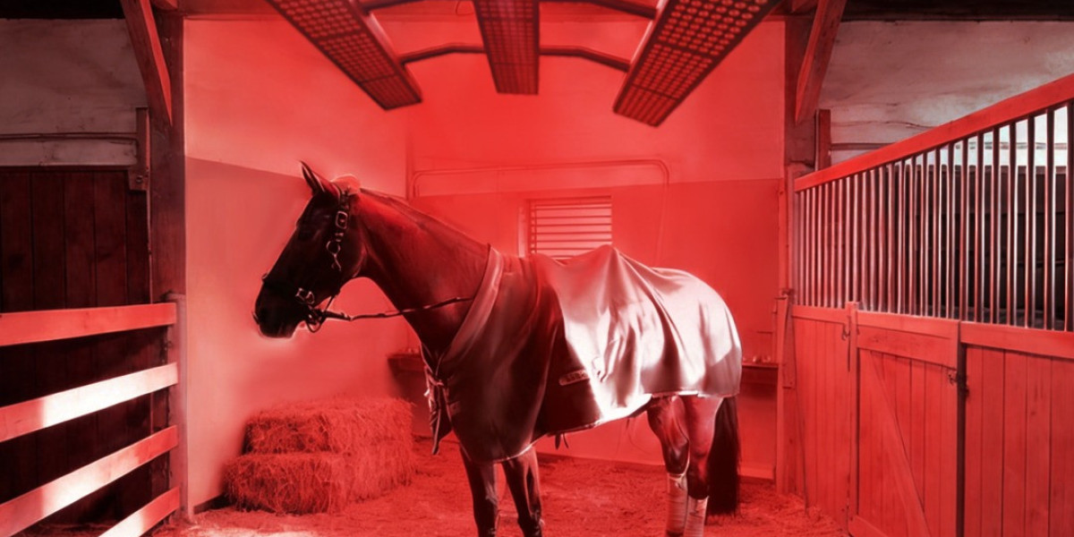 Improve Your Horse’s Wellness with a Red Light Therapy Blanket