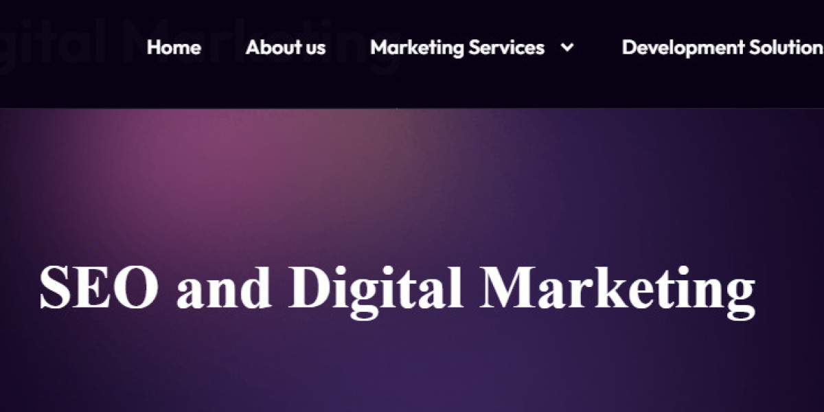 2026's Best SEO Services | Professional Experts in Code Agrius