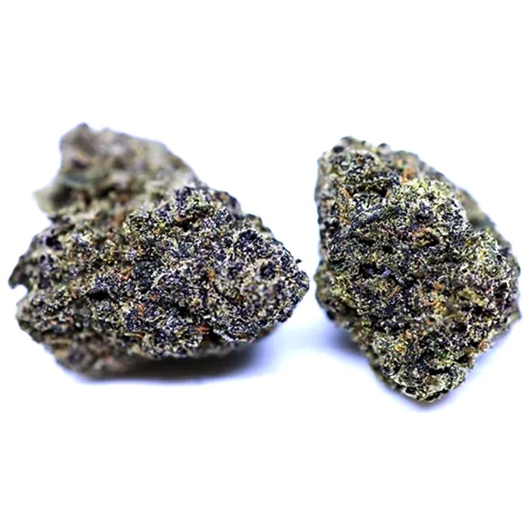Buy Black Runtz Strain Seeds from Gelato Seeds