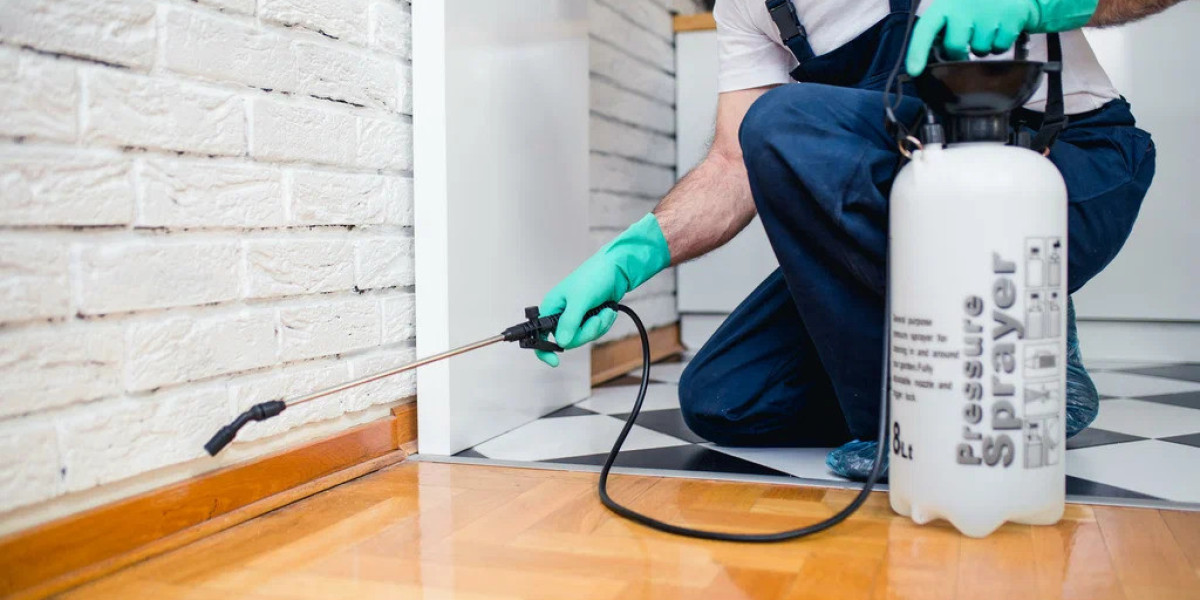 Termite Control Services in Rawalpindi and Islamabad: Protect Your Property from Costly Damage